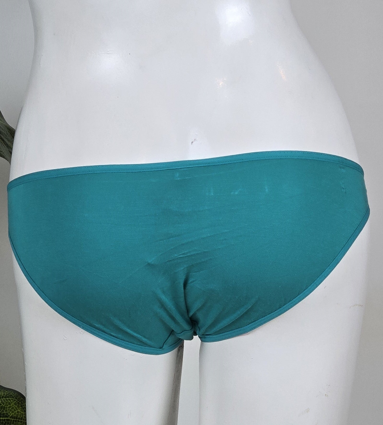La Senza Brief